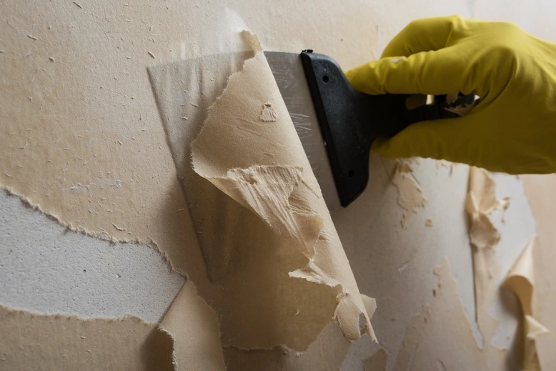 Wallpaper installation service in Carrollton, TX